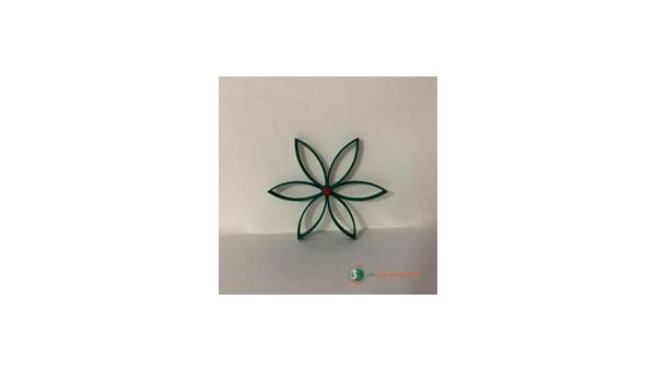 Fleur de noël